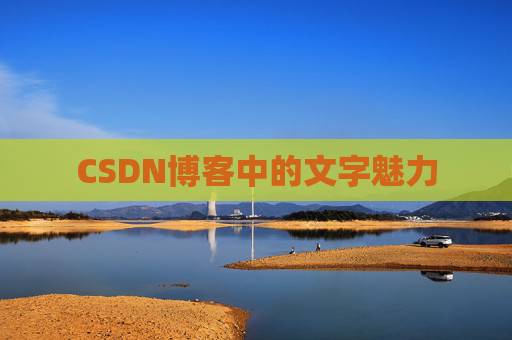 CSDN博客中的文字魅力 CSDN博客中的文字魅力